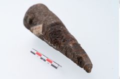 Foto von Eisenlanzenschuh (NHMW-PRAE-070978)